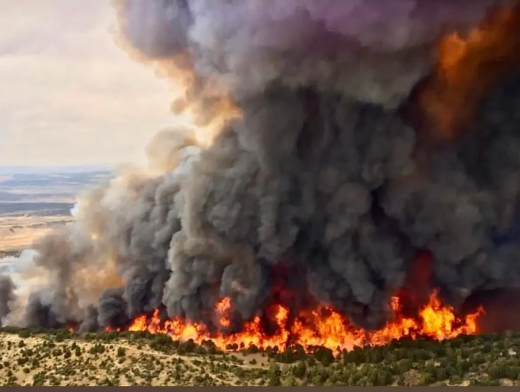 Portugal Wildfire