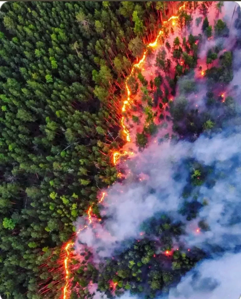 Fire Alert in Vila Real Updates 