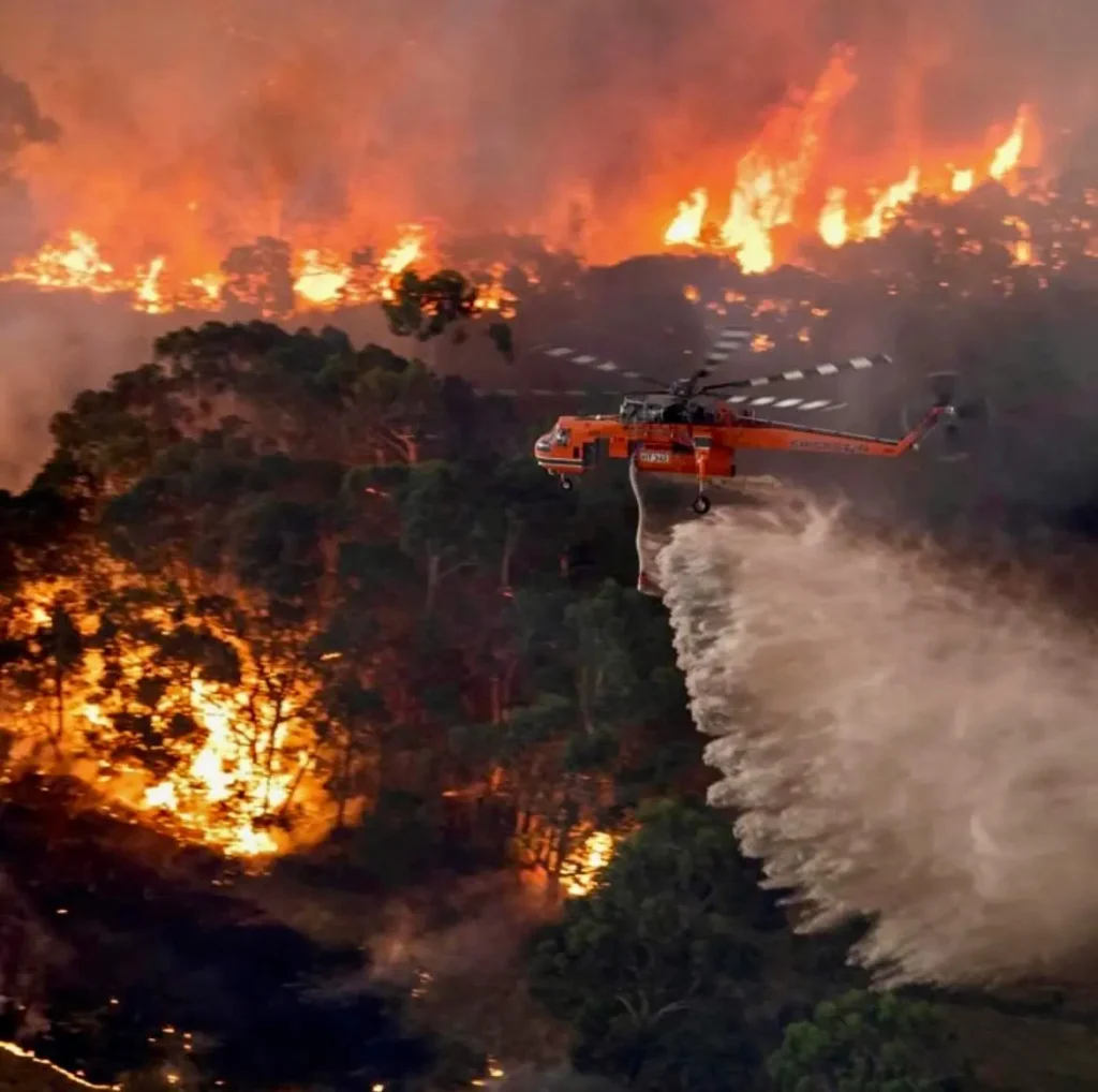 Fire Alert in Vila Real Updates 1 1